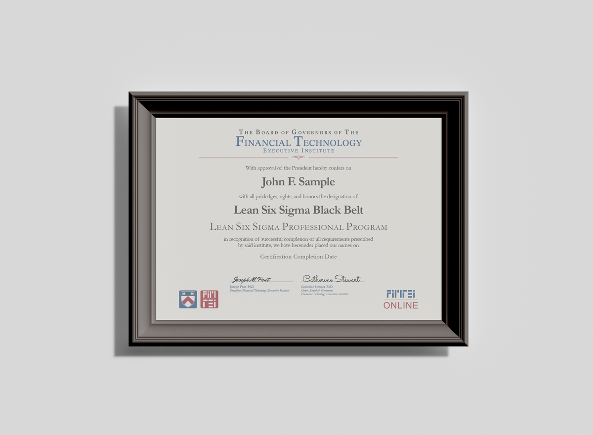 Lean Six Sigma Black Belt Certified (LSBC)